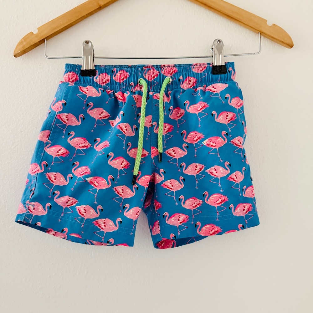 Sweet Honey Boys Swim Trunks - Blue Pink Flamingo Print